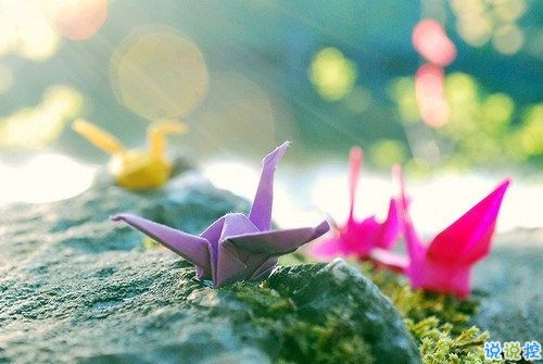 選擇放棄的傷感愛(ài)情說(shuō)說(shuō)帶圖片 描述對(duì)愛(ài)情感到無(wú)奈的說(shuō)說(shuō)7