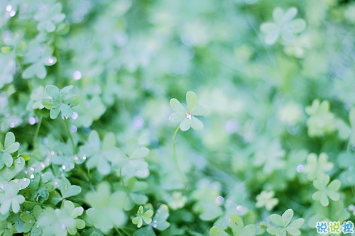 2019年抖音個(gè)性說說大全 非常有意思的個(gè)性說說帶圖片12