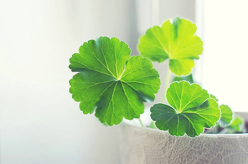 關(guān)于愛情的有些傷感但卻很有道理的唯美文藝說說2