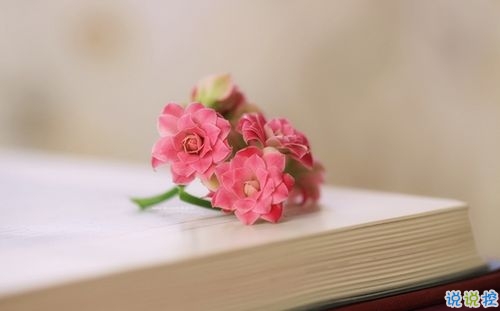 抖音好聽個(gè)性說說帶圖片 能夠吸引人的一句話說說9