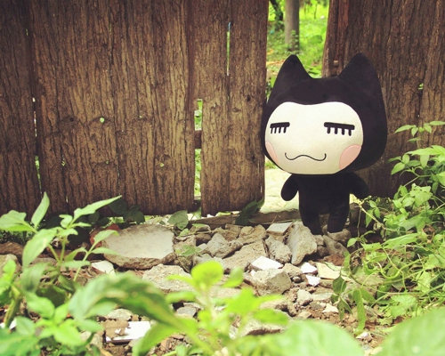 甜蜜浪漫情話只想說給你聽的說說帶圖片 想化作一陣風輕柔的撫過你15