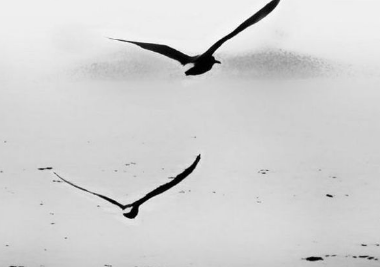 寫給自己的情書14句精選英文經(jīng)典說說帶圖14