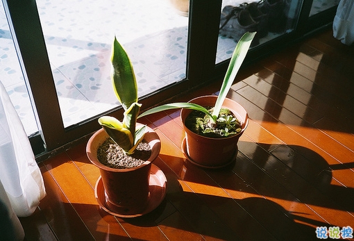 搞笑句子合集能笑死人的那種 2019朋友圈最吸引人的有趣句子2