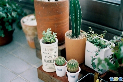 女生個(gè)性說(shuō)說(shuō)經(jīng)典霸氣帶圖片 知道自己不討喜那就乖一點(diǎn)11