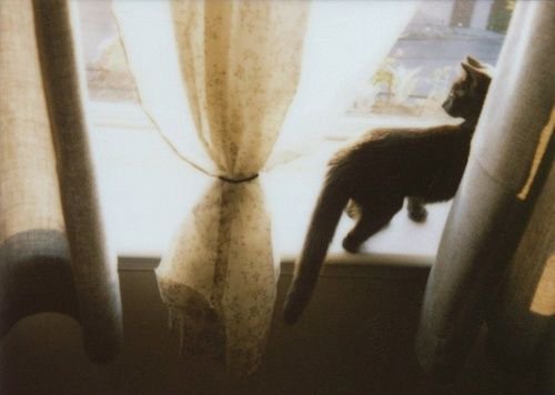 2018發(fā)朋友圈的精辟心情說說帶圖片 朋友圈轉(zhuǎn)發(fā)過萬的說說配圖1