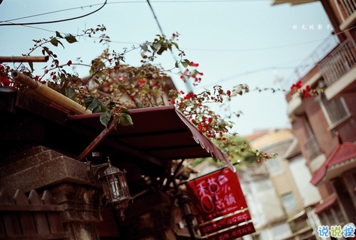 14條很美很好聽的文藝唯美說說帶圖片 森系文藝范古風(fēng)說說2