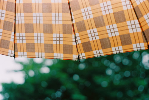 很現(xiàn)實(shí)的人生感悟空間說(shuō)說(shuō)大全 關(guān)于成長(zhǎng)和成熟你需要知道的說(shuō)說(shuō)1