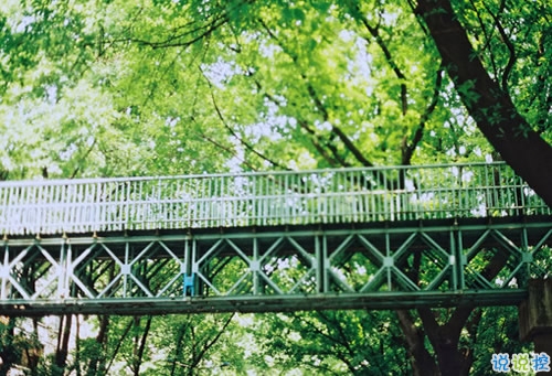 有關(guān)于戀愛的說說帶圖片2018最新說說 文字控大愛的愛情說說配圖1