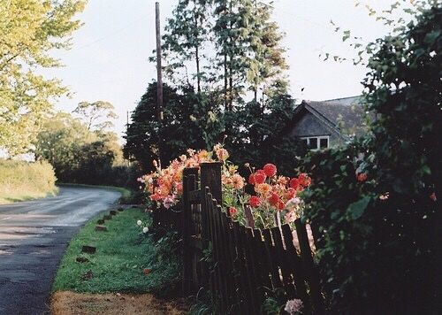 關(guān)于成長(zhǎng)人生和愛(ài)情的美到讓人心碎的說(shuō)說(shuō)帶圖片3