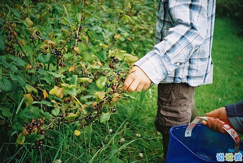齁死人的情侶間情話合集 抖音最美情話短句精辟好聽1