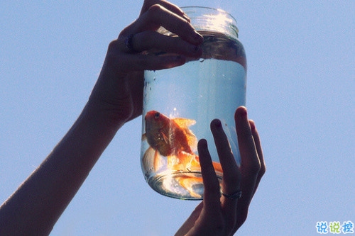 關于青春年華浪漫唯美的愛情句子 年少的笑漾著微光14