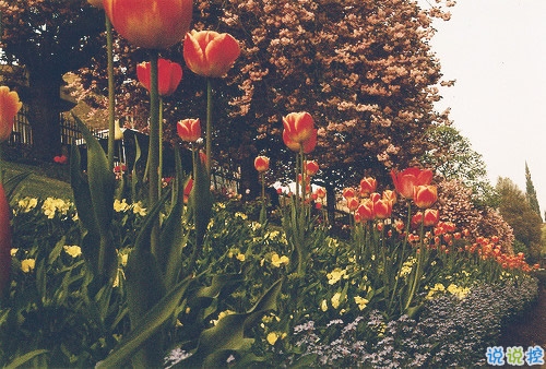 晚安心語正能量簡簡單單一句話 晚上睡覺前朋友圈來一句雞湯2