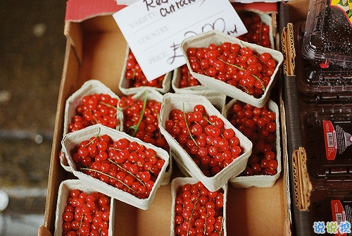 很勵志的句子寫給年輕人的勵志句子 生活很現(xiàn)實但還是要奮斗的勵志句子1