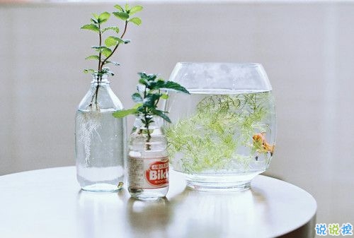 帶圖片的勵志說說人生感悟 別辜負了你的野心也別對不起你受的苦12