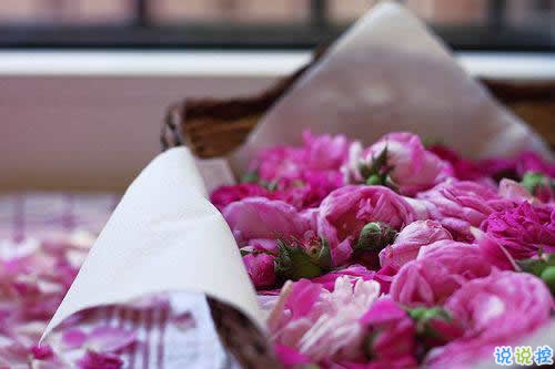 2019春分朋友圈早安祝福語(yǔ)帶圖片 春分唯美說說簡(jiǎn)單一句話5