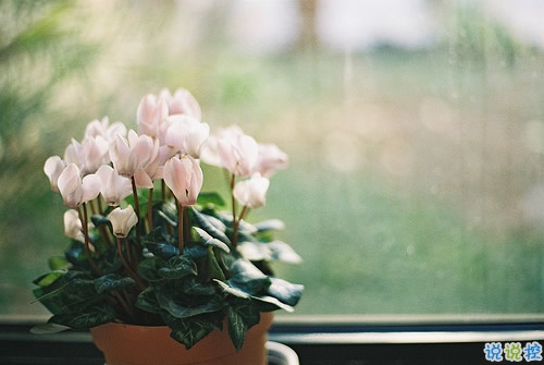 很有深度的微信勵(lì)志說說帶圖片 說出來很扎心但很值得學(xué)習(xí)的說說7