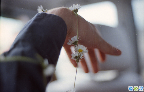 適合早晨發(fā)的說(shuō)說(shuō)早安心語(yǔ) 每天清晨叫醒你的應(yīng)該是你的夢(mèng)想11