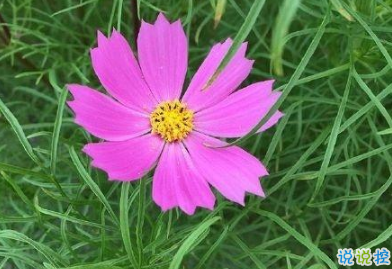 2019最新微信經(jīng)典短句 今年很流行的經(jīng)典語(yǔ)錄2