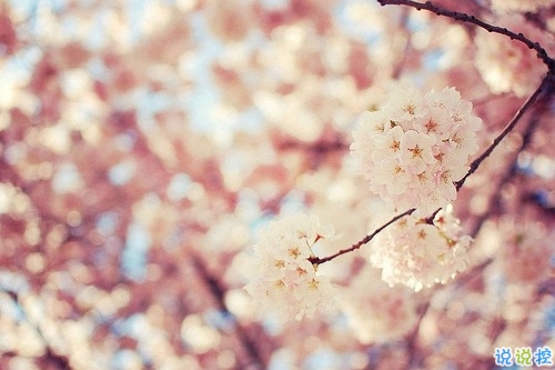 深入人心的哲理句子精辟簡(jiǎn)短 人生很迷茫指引方向的哲理句子1