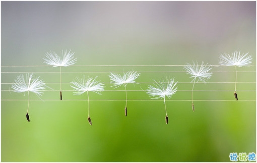 長大變成熟了的經(jīng)典說說配圖 微信經(jīng)典說說現(xiàn)實人生感悟帶圖片 11