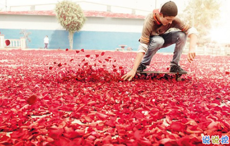 表示無聊的朋友圈說說帶圖片：無聊，是人生的一種正?，F(xiàn)象12