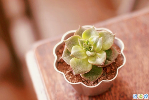 2019朋友圈經(jīng)典說說大全 人生路上這些道理你必須懂得1