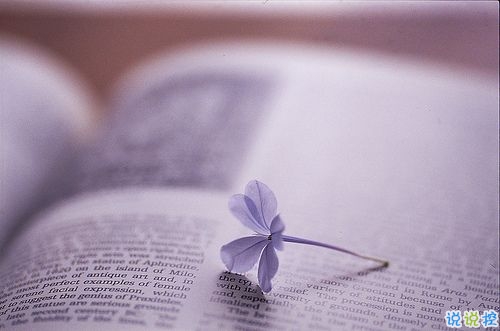 超暖心的朋友圈勵(lì)志說(shuō)說(shuō)帶圖片 致所有人的勵(lì)志說(shuō)說(shuō)值得收藏7