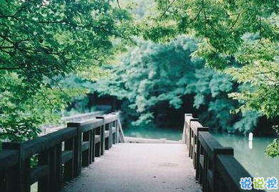 承蒙你出現(xiàn)，夠我喜歡好多年9