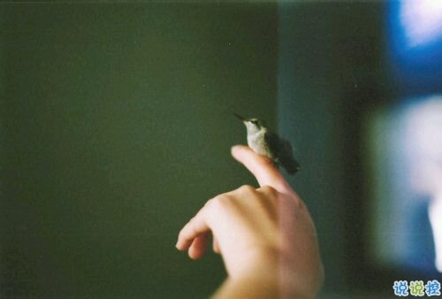 唯美傷感愛情說說帶圖片 我總不能耗盡一生換一句你的有可能15