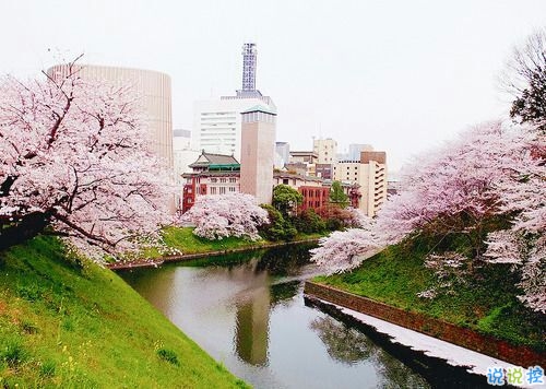 2019非主流經(jīng)典愛(ài)情說(shuō)說(shuō)帶圖片 很打動(dòng)人的一些愛(ài)情真理2