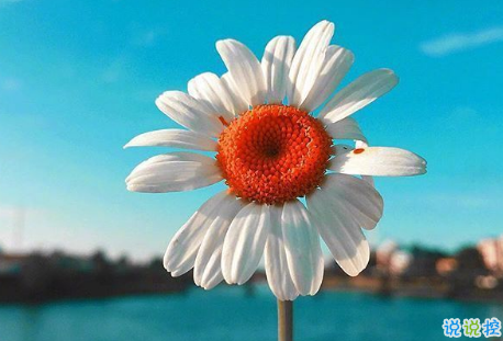 聽著很有道理的愛情說說帶圖片 關于愛情很有哲理的一句話說說16