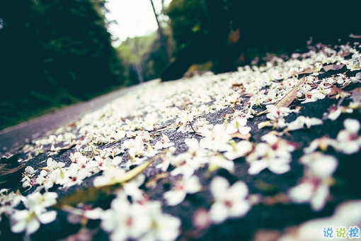 異地戀的心酸傷感說(shuō)說(shuō)大全 一天想你八百次的異地戀委屈句子2