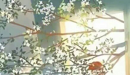 唯美優(yōu)美的文藝說說帶圖片 是我如今焚琴煮鶴忘了曾經(jīng)風(fēng)花雪月12