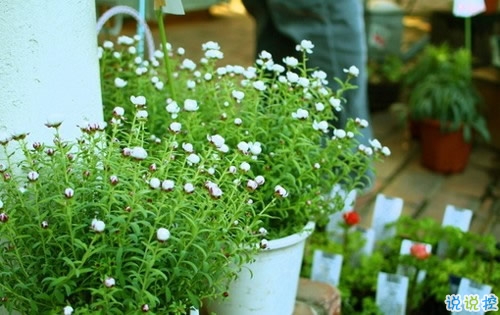 致自己的人生經(jīng)典說(shuō)說(shuō)帶圖片 最新朋友圈經(jīng)典說(shuō)說(shuō)人生哲言7