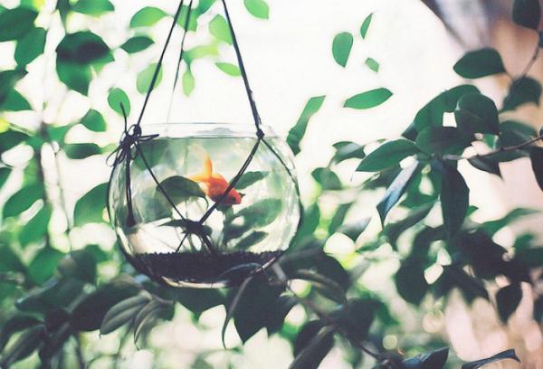 關(guān)于人生的超勵(lì)志正能量圖片說(shuō)說(shuō) 你優(yōu)秀了自然有對(duì)的人與你并肩12