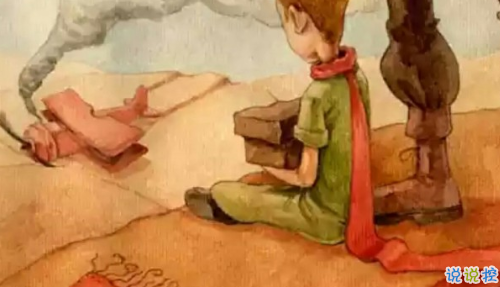 經(jīng)典小王子中的有哲理而又簡(jiǎn)單的句子 如果你被一朵花馴養(yǎng)15