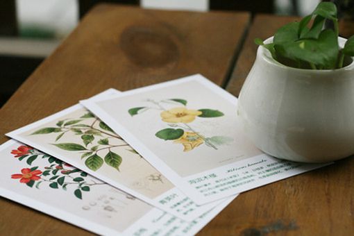 關(guān)于現(xiàn)實生活人生的哲理說說帶圖片 一個人活著應(yīng)該永遠要把目光投向遠方3