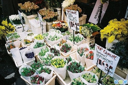 有些傷感的關(guān)于人生和成長的說說帶圖片 生活的本質(zhì)就是離別10