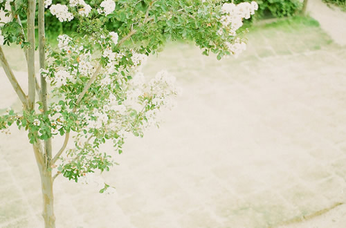 寫給步入職場的你的一些經(jīng)典感悟哲理句子帶圖片8