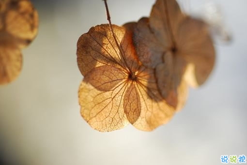 輸?shù)靡凰康膼?ài)情傷感說(shuō)說(shuō) 句句寫入心坎的傷感說(shuō)說(shuō)大全1