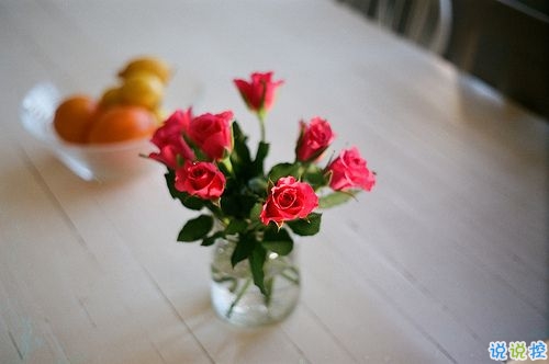 微信朋友圈愛情說說帶圖片 陽光灑在身上像極了愛情1