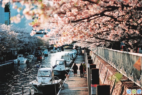 最新浪漫愛情說說相濡以沫帶圖片 送給女朋友的愛的誓言1