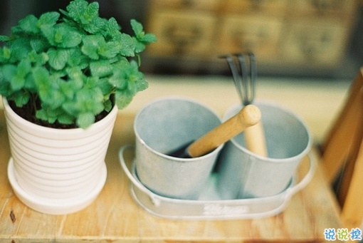 非常好聽(tīng)的qq傷感唯美句子 心碎一地的唯美愛(ài)情句子2