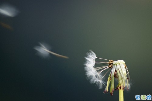 超暖心的朋友圈勵(lì)志說(shuō)說(shuō)帶圖片 致所有人的勵(lì)志說(shuō)說(shuō)值得收藏9