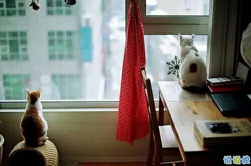 戀愛中的甜蜜溫暖小情緒說說帶圖片 跨越大半個(gè)地球與你相見6