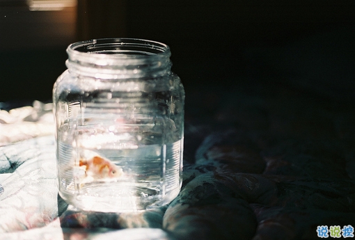 很真實(shí)的愛情感悟帶圖片 深有感觸的經(jīng)典愛情說說配圖3