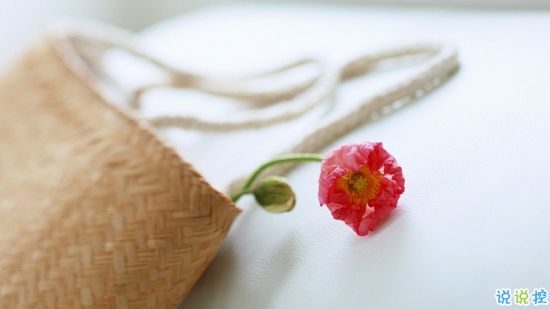 哪句歌詞讓你熱淚盈眶圖片帶字 從前從前有個(gè)人愛(ài)你很久8