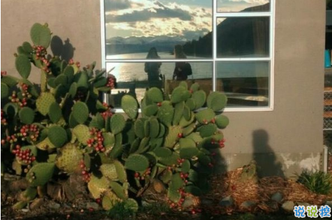 16條適合發(fā)朋友圈的旅行句子配圖 旅行句子表達(dá)心情短語最新版11