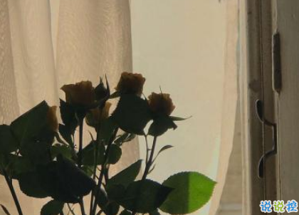 致自己的一句話個(gè)性說說帶圖片 想要訴說自己心情的說說6