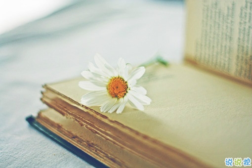 寫給失戀分手后的傷感說說帶圖片 很難過的一個人感到孤獨寂寞的說說12